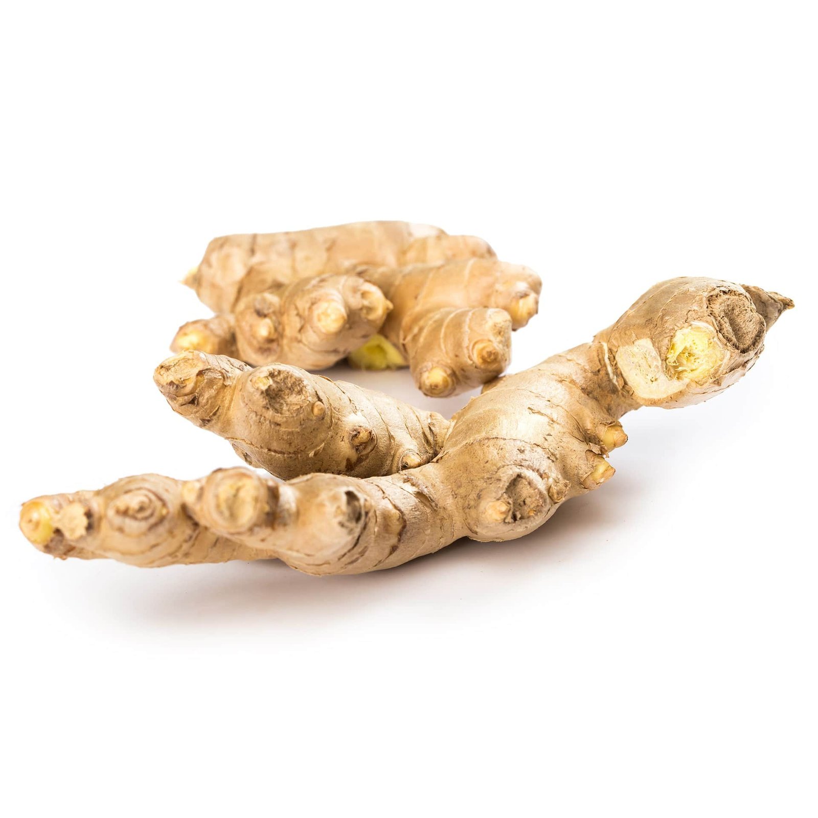 Gold Ginger